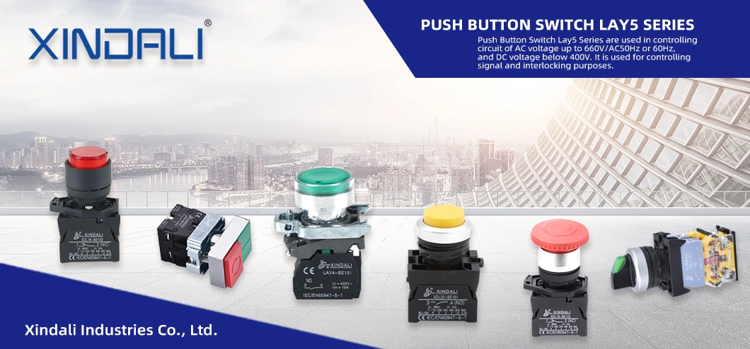 Xdl21-CS542 Emergency Stop Mushroom Button Waterproof Emergency Stop Button