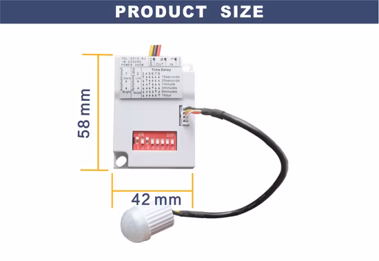 Wall Mount PIR Motion Sensor Delay Adjustable Rotary Automatic Electrical Smart Micro Light Switch